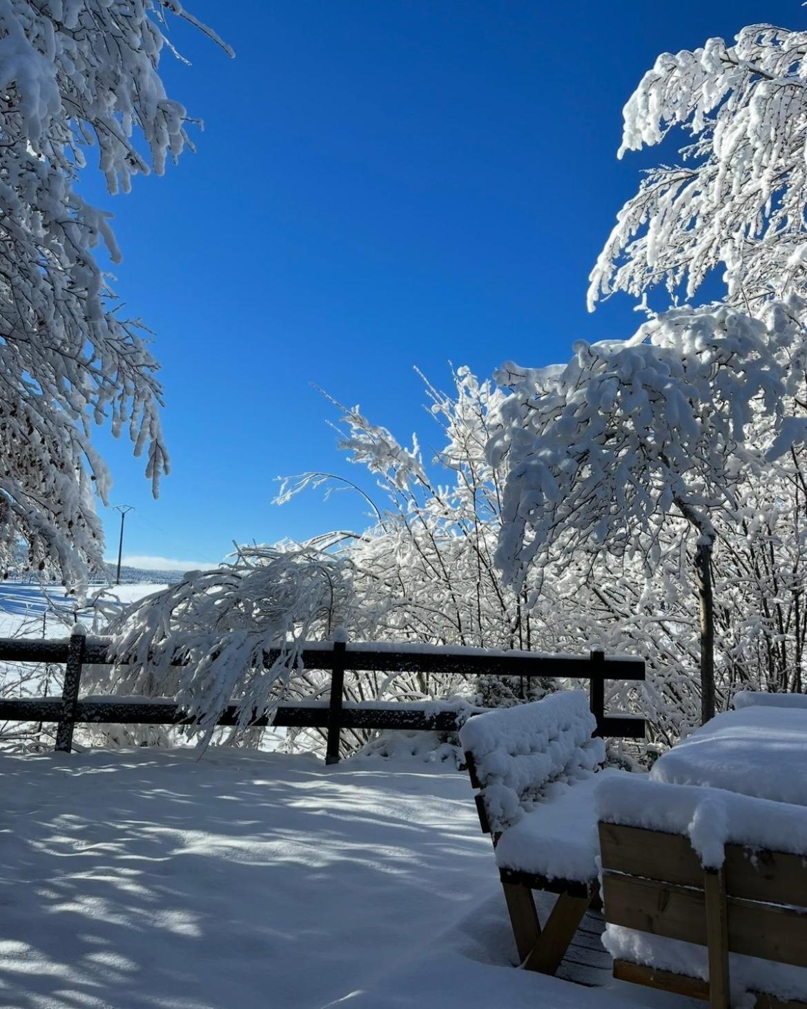 Chalet Cosy Entre Lacs Et Montagnes Métabief 외부 사진